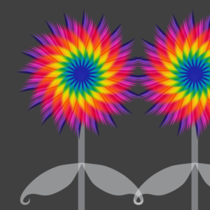 rainbow flowers design