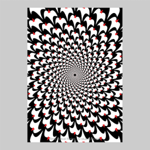 birds optical illusion print p0024 artwork