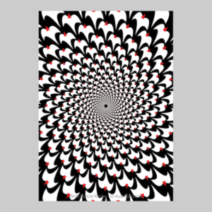 birds optical illusion print p0024 artwork