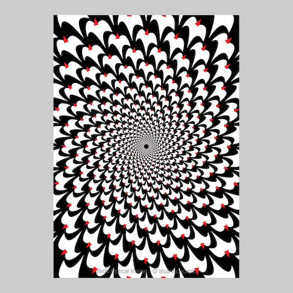 birds optical illusion print p0024 artwork