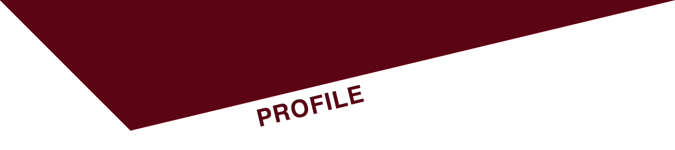 Profile heros-01