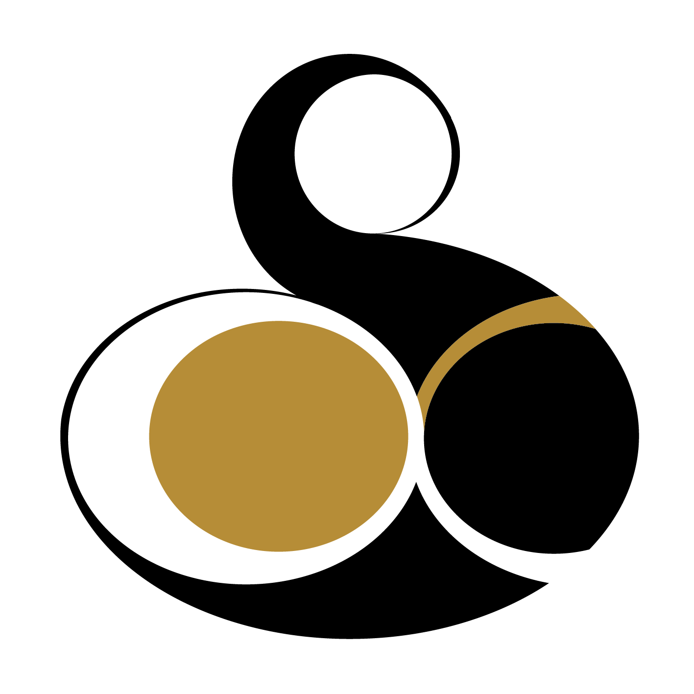 Stu Art Concepts 2014 logo