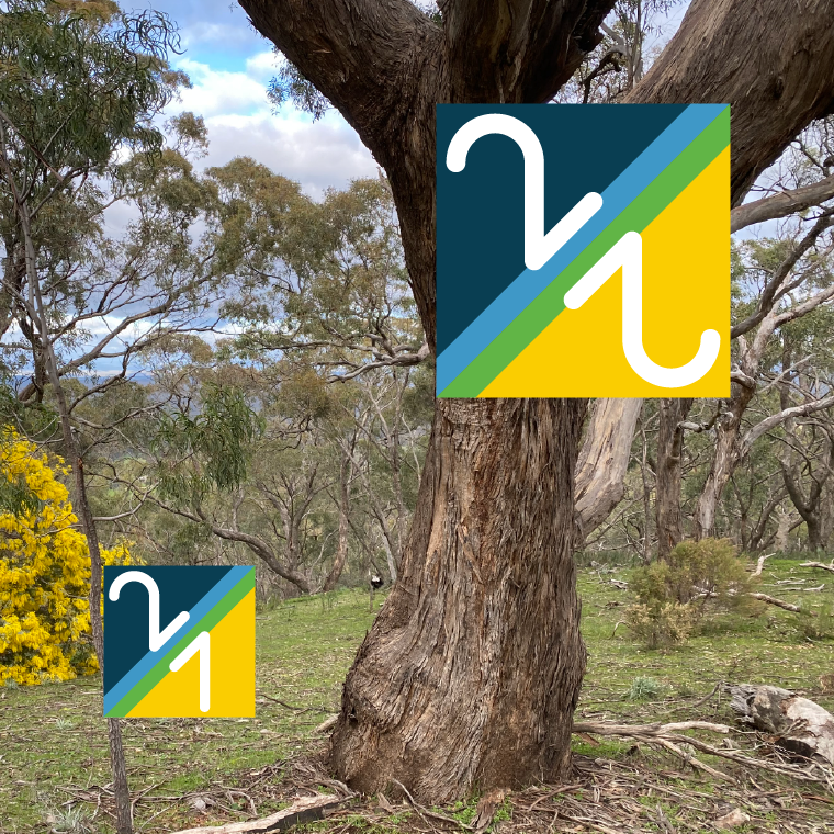 2022 Australian Orienteering Championships logo and the 2021 version on a bush background with a yellow flowering wattle.