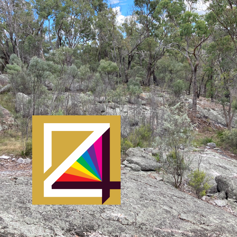 2024 Orienteering Championships on a bush and granite background.