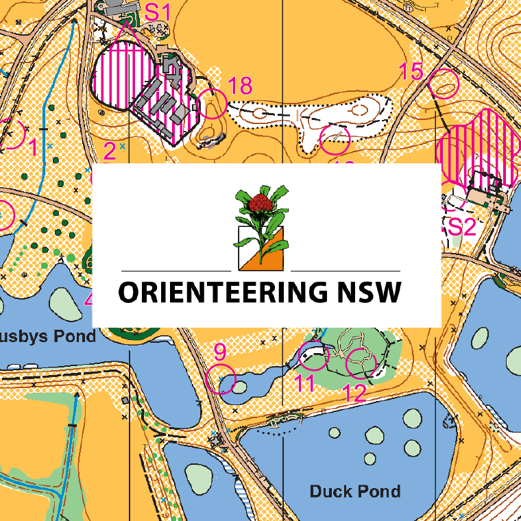 Orienteering NSW original logo designed by Dave Lotty on the background of an orienteering map.