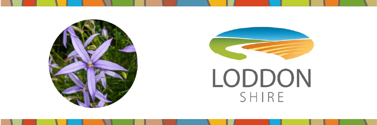 brief items for the Easter 205 logo. Bands of colours, Loddon Shire logo and the rock isotome flower.