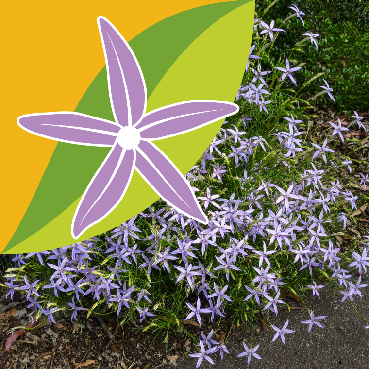 Easter 2025 lgo over a background of rock isotope flowers which influenced the design.